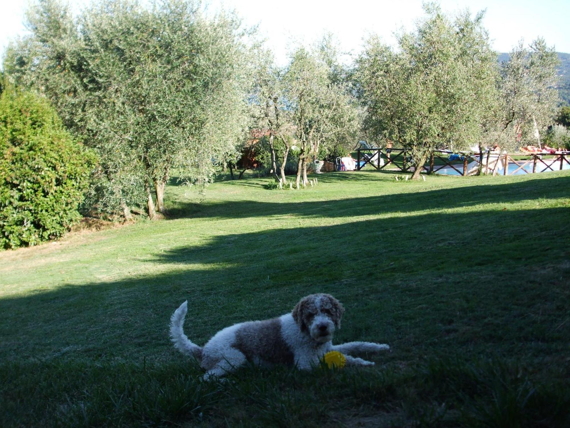 Poggio Agli Ulivi Villa Barberino di Mugello Eksteriør billede